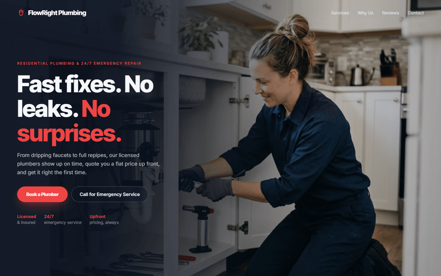 Plumber Emergency Page, real preview screenshot